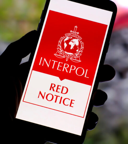 What is an INTERPOL Red Notice?