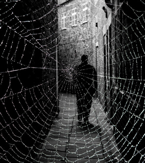 Using Your Own Fear to Your Advantage - Spiderweb in London | Tradecraft